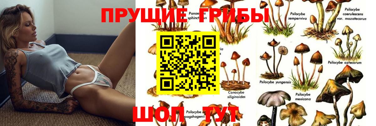 Александров  Галлюциногенные грибы Psilocybe  Вход с VPN  Галлюциногенные грибы MAGIC MUSHROOMS 